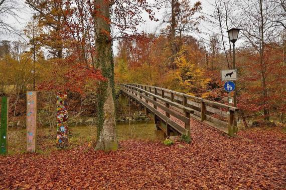 03 Herbst Im Eichental Fussgaengerbruecke Lamacontent.De W6 A6124 1500pix