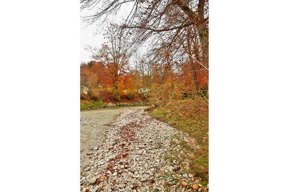 03 Herbst Im Eichental Prienufer Lamacontent.De W6 A6143 1500x1000pix H