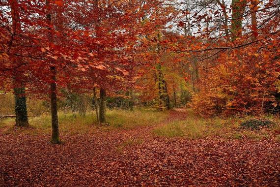 03 Herbst Im Eichental Parkgelaende Lamacontent.De W6 A6159 1500pix