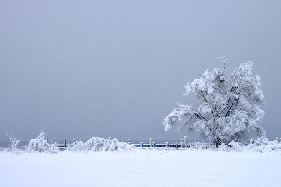 Winterlandschaft  Foto: Karen Wise