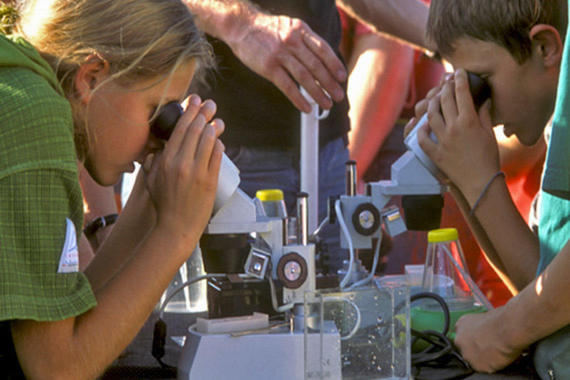 Mikroskopieren  Foto: Johann Zimmermann