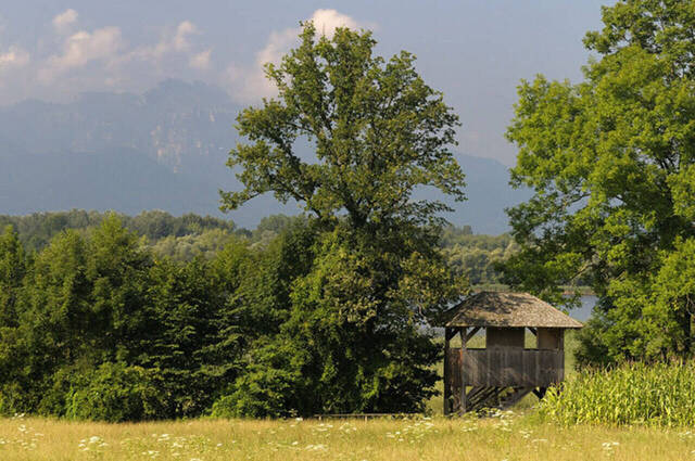 Aussichtsturm "Hagenau"  Foto: Johann Zimmermann