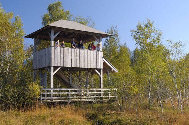 Aussichtsturm "Kendlmühlfilzen"  Foto: Johann Zimmermann