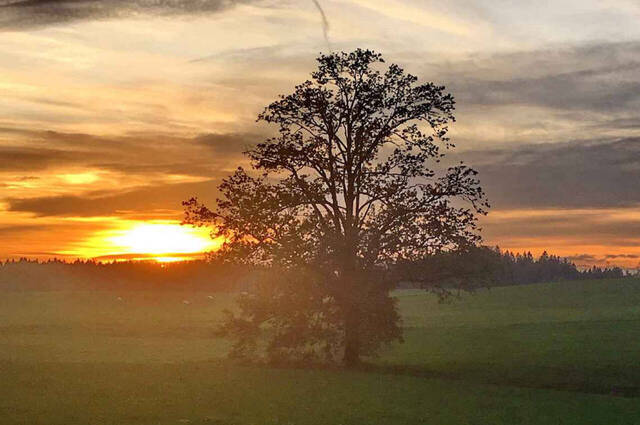 Sonnenuntergang am Kirchweihmontag  Foto: Anton Hötzelsperger
