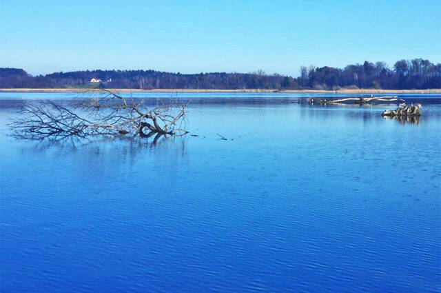 An der Prien-Mündung  Foto: Hans Fritz