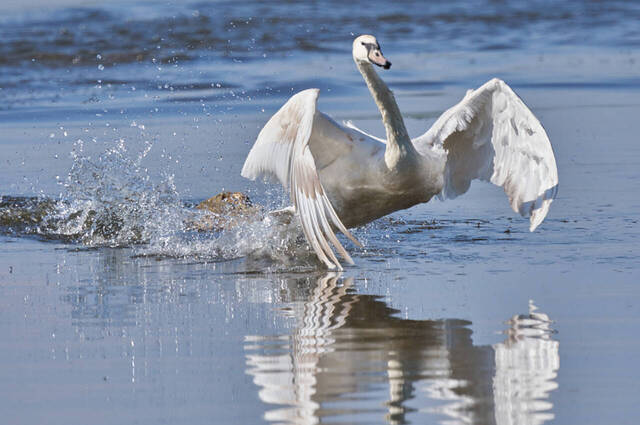 … and we have a lift-off!!  Foto: Alexander Kraus
