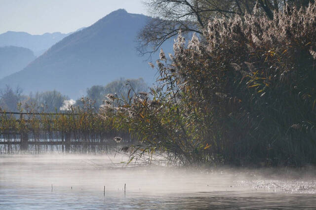 Vormittagssonne am See  Foto: Johannes Almer