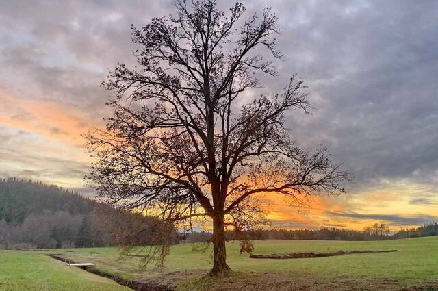 Sonnenuntergang bei Prien-Stetten  Foto: Hötzelsperger