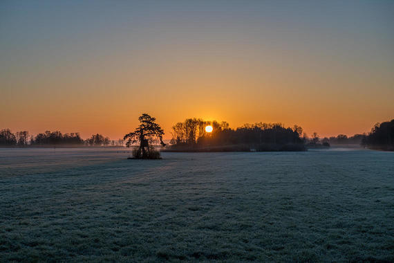 Sonnenaufgang im Trattmoos  Foto: Thomas Alberer