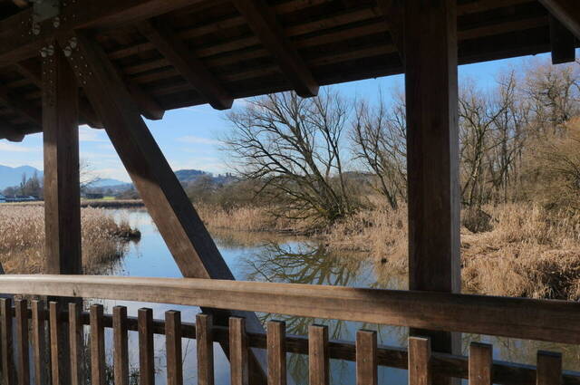 Greamandl Weiher  Foto: Johannes Almer