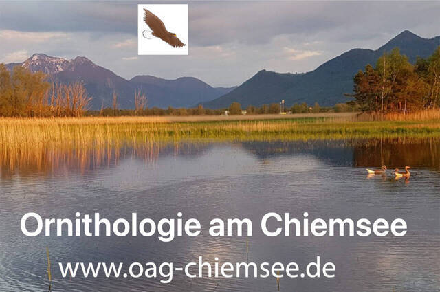 Grafik: OAG-Chiemsee Webseite