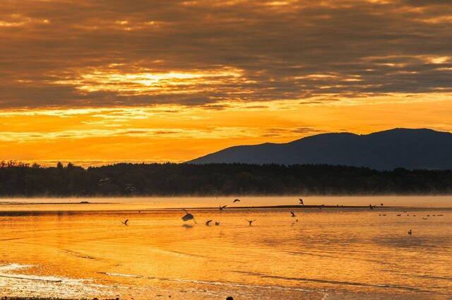 vor Sonnenaufgang am Chiemseestrand in Seebruck  Foto: Andreas Hartl