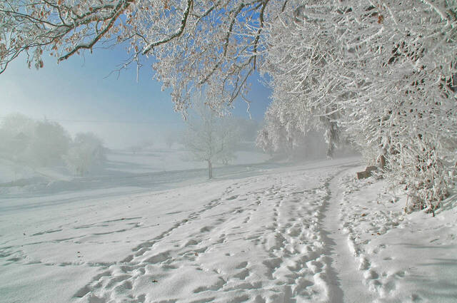 Winterlandschaft  Foto: Claus Linke