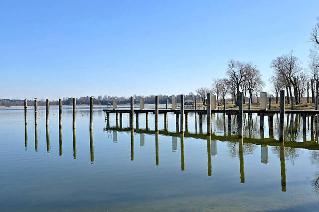 Am Mündungsdelta der Prien  Foto: Andrea Major