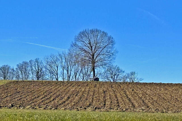 Auf der Aussichtsbank bei Burgersdorf  Foto: Hans Fritz