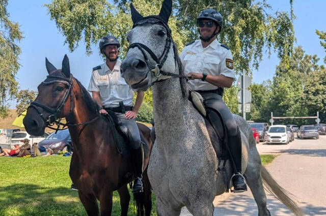 Unterstützung bekam die Polizeiinspektion Traunstein durch zwei Beamte der Reitergruppe