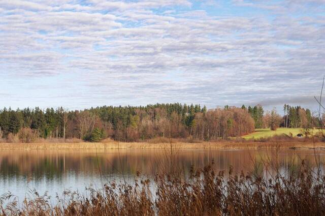 Frühlingshafte Farben im Dezember in der Hirschauer Bucht  Foto: Andreas Hartl