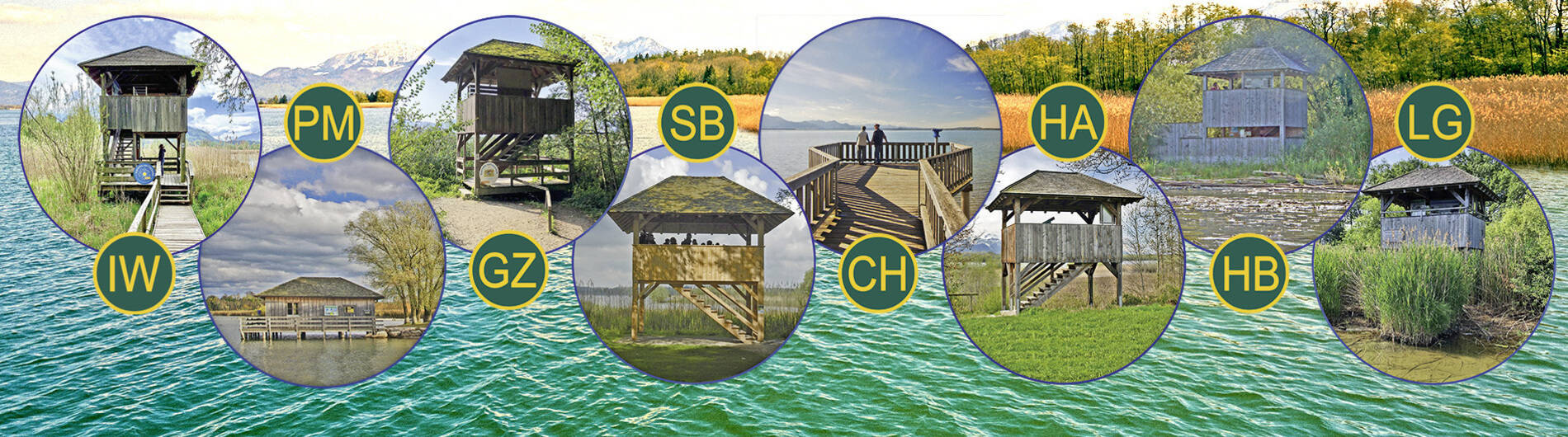 Naturbeobachtungsstationen am Chiemsee  Grafik: Claus Linke HG-Foto: Lara Freiburger
