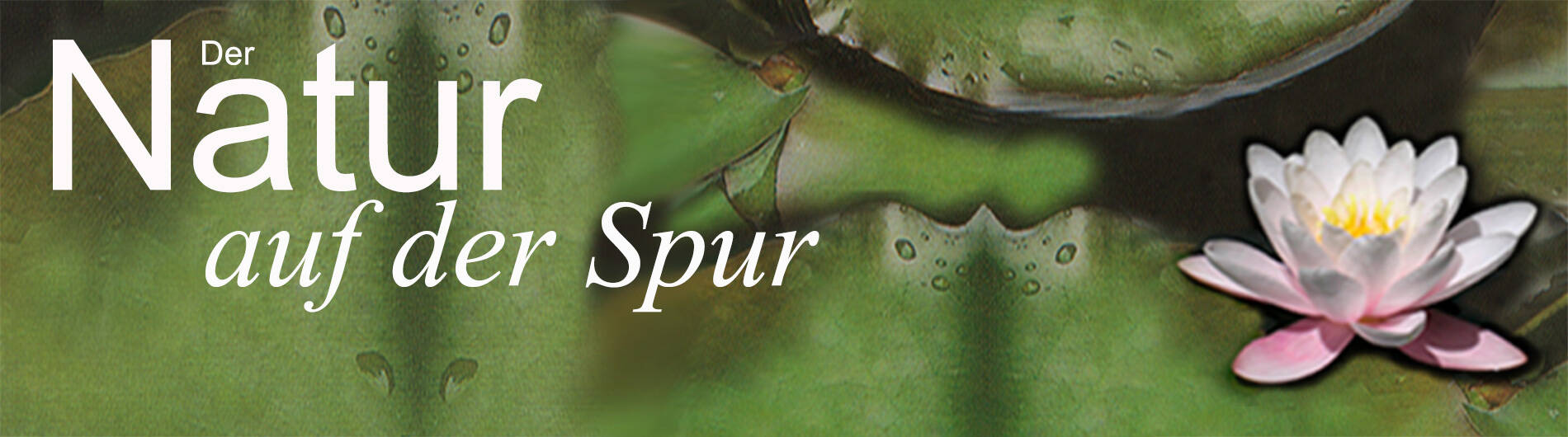 Führungsangebot "Der Natur auf der Spur"