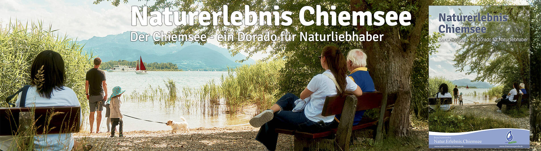 Naturerlebnis Chiemsee 2025  Foto: Maximilian Freiburger mit KI am rechten Rand
