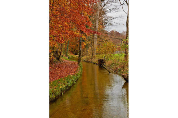 03 Herbst Im Eichental Am Muehlbach Lamacontent.De W6 A6088 1500x1000pix H