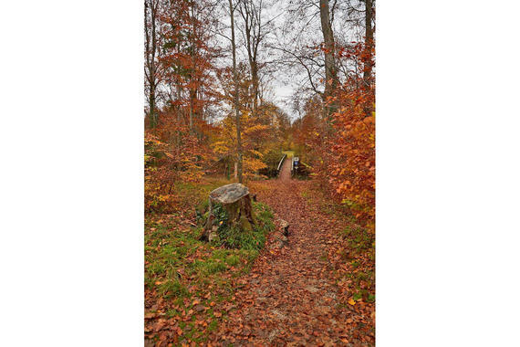 03 Herbst Im Eichental Fussgaengerbruecke Lamacontent.De W6 A6172 1500x1000pix H