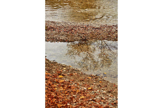 03 Herbst Im Eichental Prienufer Lamacontent.De W6 A6156 1500x1000pix H