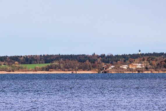 durch Abwärme vom See noch grüne Wiesen bei Ising   Foto: Andreas Hartl