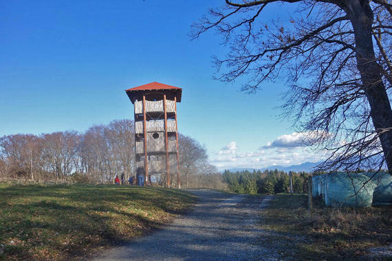 Turm Ratzinger Höhe  Foto: Anton Hötzelsperger