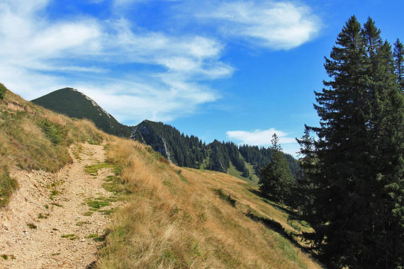 Geigelstein Gipfel in Sicht  Foto: Dagmar Haizinger