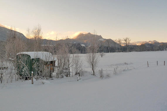 Winterimpressionen aus den Samerberger Filzen  Foto: Dagmar Haizinger