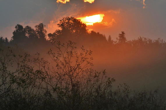 Sonnenaufgang  Foto: Johannes Almer